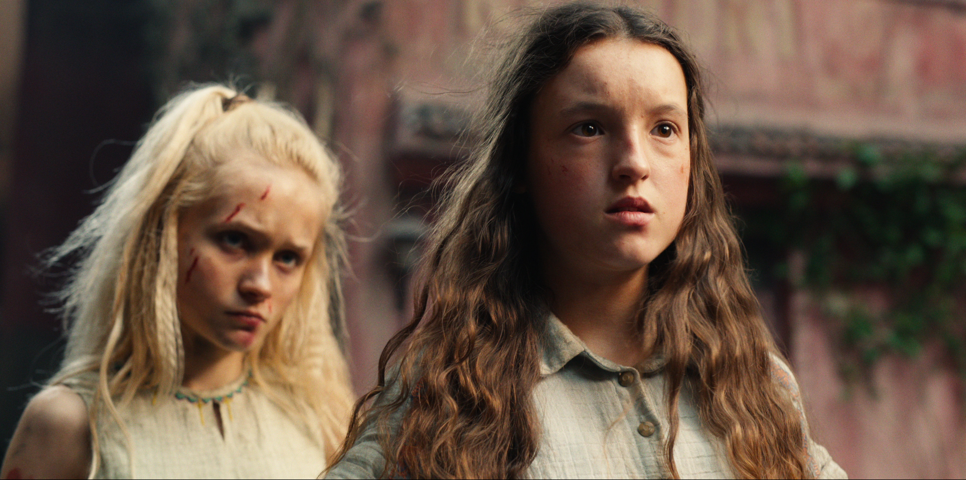 About Bad Wolf