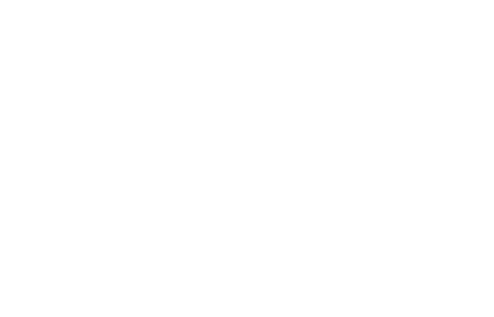Bad Wolf America